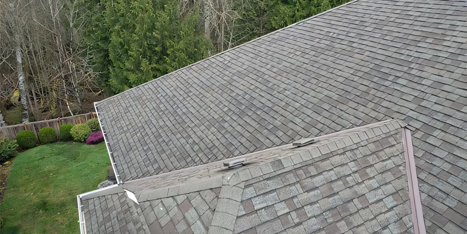 Brave Roofers hero image2