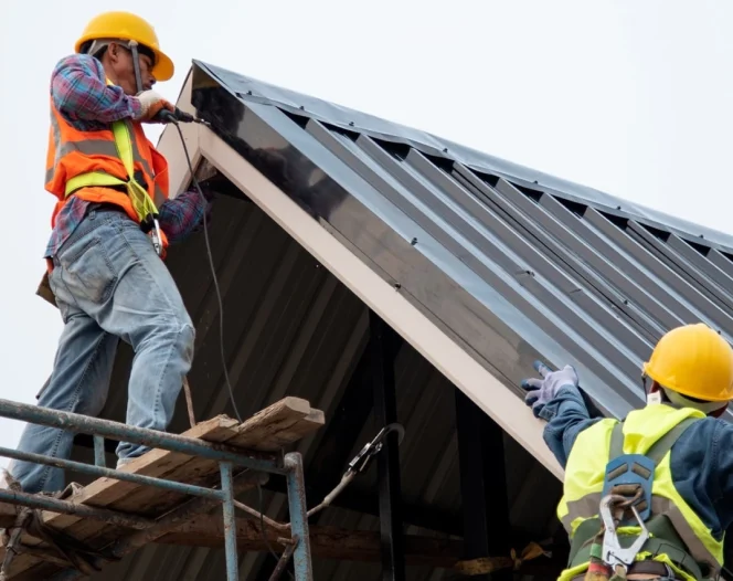 Brave Roofers home media2