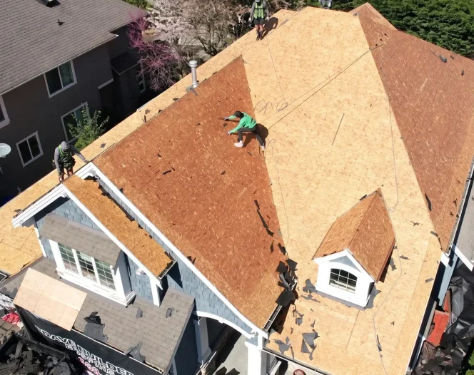 Brave Roofers home media3