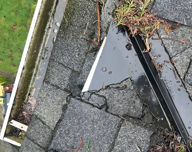 Roofing Services in Bellevue, WA