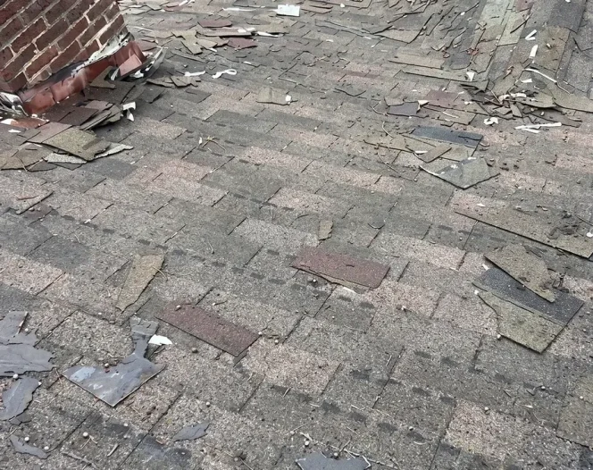 Roofing Services in Everett, WA